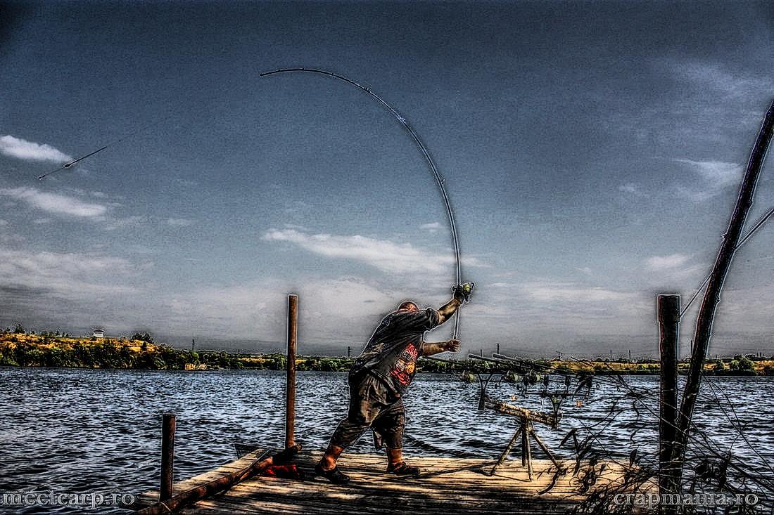 Meet Carp Romanian Awards - 2012 - img6341-hdrmode2.jpg